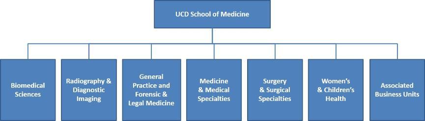 High Lvl Organogram